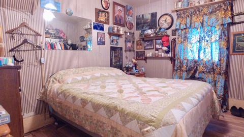 4298 Division St, Mcbride, MI 48852 photo 26