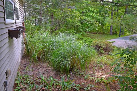 75 S Webster St, White Cloud, MI 49349 photo 45