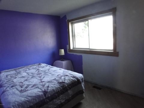 104 E Alexander St, Buchanan, MI 49107 photo 10