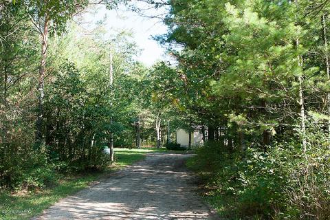 7337 E 56th St, Newaygo, MI 49337 photo 5