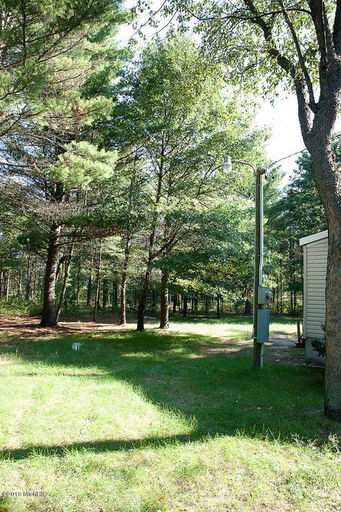 7337 E 56th St, Newaygo, MI 49337 photo 10