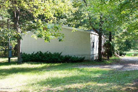 7337 E 56th St, Newaygo, MI 49337 photo 8