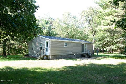 7337 E 56th St, Newaygo, MI 49337 photo 4