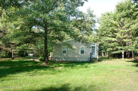 7337 E 56th St, Newaygo, MI 49337 photo 7
