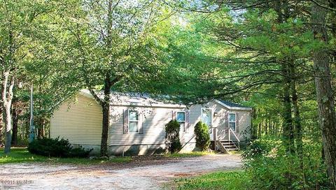 7337 E 56th St, Newaygo, MI 49337 photo 2