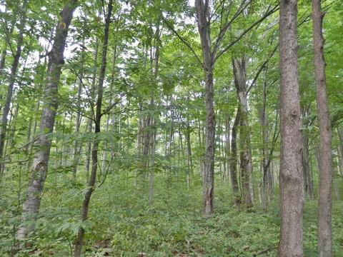 1916 Bendon Rd, Interlochen, MI 49643 photo 37