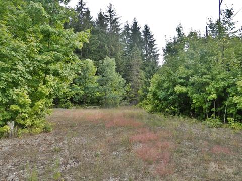 1916 Bendon Rd, Interlochen, MI 49643 photo 38