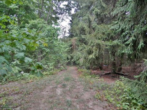 1916 Bendon Rd, Interlochen, MI 49643 photo 2