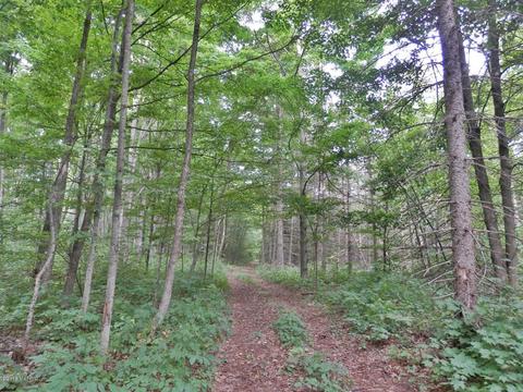 1916 Bendon Rd, Interlochen, MI 49643 photo 9