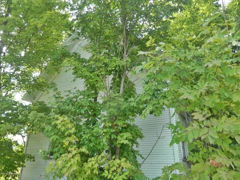 1916 Bendon Rd, Interlochen, MI 49643 photo 29