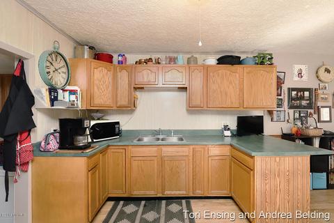 511 Little St, Belding, MI 48809 photo 9