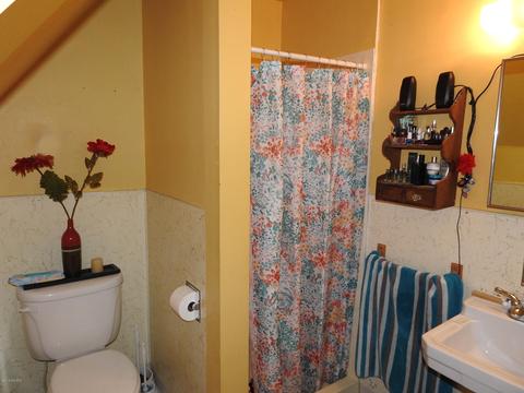 312 Johnson St, Hart, MI 49420 photo 15