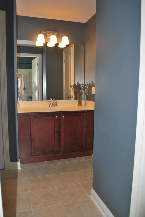 8446 Grapevine Cir, Mattawan, MI 49071 photo 42