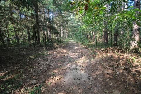 52789 Johnson Rd, Three Rivers, MI 49093 photo 11