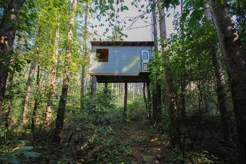 52789 Johnson Rd, Three Rivers, MI 49093 photo 10