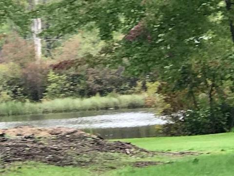 200 S Webster, White Cloud, MI 49349 photo 8