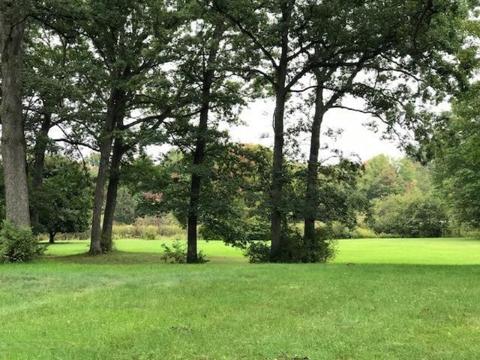 200 S Webster, White Cloud, MI 49349 photo 4