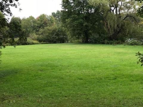 200 S Webster, White Cloud, MI 49349 photo 5