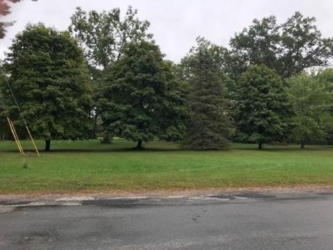 200 S Webster, White Cloud, MI 49349 photo 3