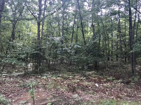 8345 E Johnson Rd, Branch, MI 49402 photo 17