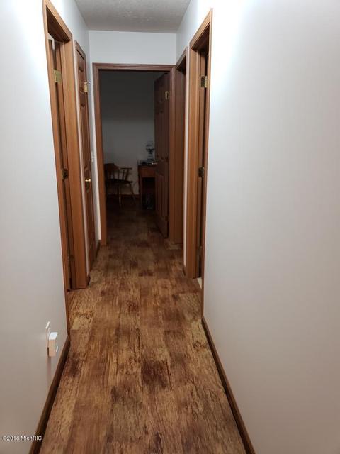 6575 Dusty Ln, Belding, MI 48809 photo 50