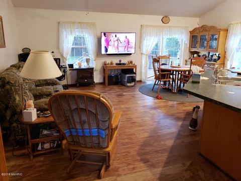 6575 Dusty Ln, Belding, MI 48809 photo 9