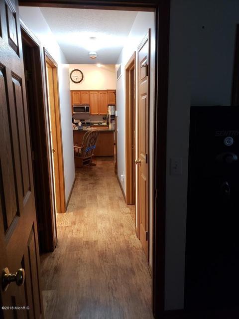 6575 Dusty Ln, Belding, MI 48809 photo 51