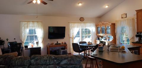6575 Dusty Ln, Belding, MI 48809 photo 17