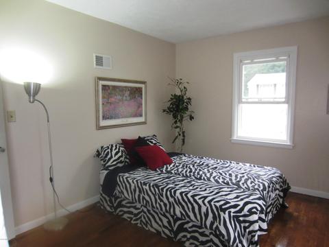 622 N Bridge St, Belding, MI 48809 photo 7