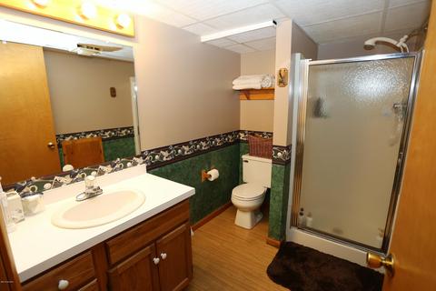58133 Circle Dr, Three Rivers, MI 49093 photo 51