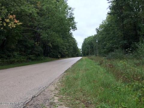 6593 E Gale Rd, Hesperia, MI 49421 photo 21