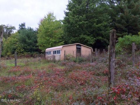 6593 E Gale Rd, Hesperia, MI 49421 photo 4
