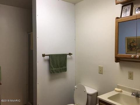 6593 E Gale Rd, Hesperia, MI 49421 photo 12