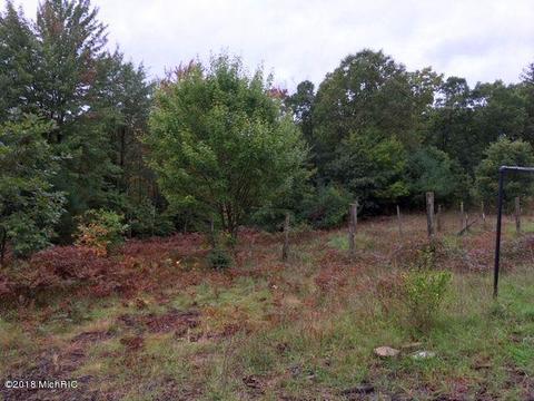 6593 E Gale Rd, Hesperia, MI 49421 photo 17