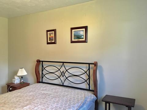 3029 Birch Dr, Stanton, MI 48888 photo 27