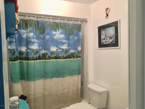 3029 Birch Dr, Stanton, MI 48888 photo 21