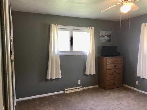 3029 Birch Dr, Stanton, MI 48888 photo 28