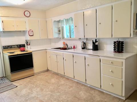 3029 Birch Dr, Stanton, MI 48888 photo 10