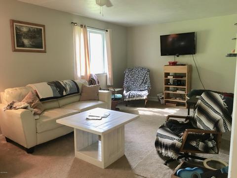 3029 Birch Dr, Stanton, MI 48888 photo 15