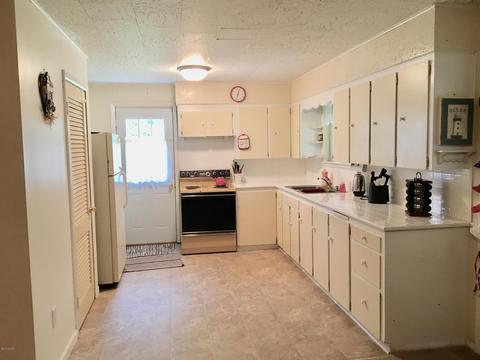 3029 Birch Dr, Stanton, MI 48888 photo 9