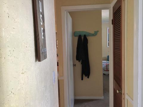 3029 Birch Dr, Stanton, MI 48888 photo 31