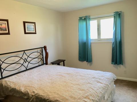 3029 Birch Dr, Stanton, MI 48888 photo 26