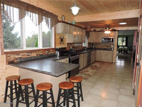 550 E Sisson Rd, Freeport, MI 49325 photo 48