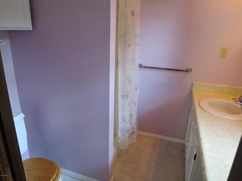 1411 E Rishel Rd, Sturgis, MI 49091 photo 20