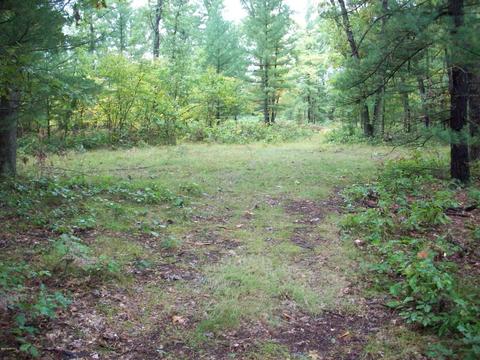 4365 E 48th St, Chase, MI 49623 photo 18