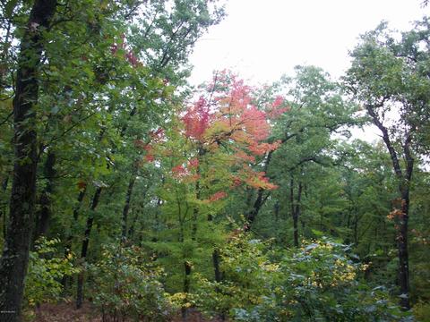 4365 E 48th St, Chase, MI 49623 photo 21