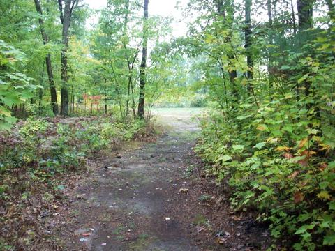 4365 E 48th St, Chase, MI 49623 photo 15