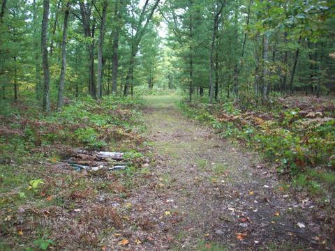 4365 E 48th St, Chase, MI 49623 photo 17