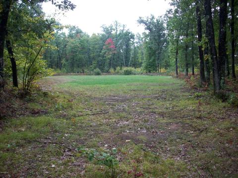 4365 E 48th St, Chase, MI 49623 photo 16
