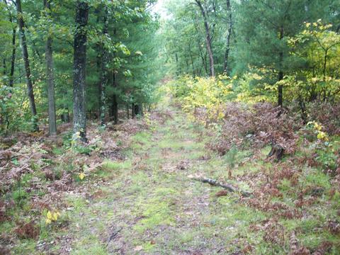 4365 E 48th St, Chase, MI 49623 photo 20
